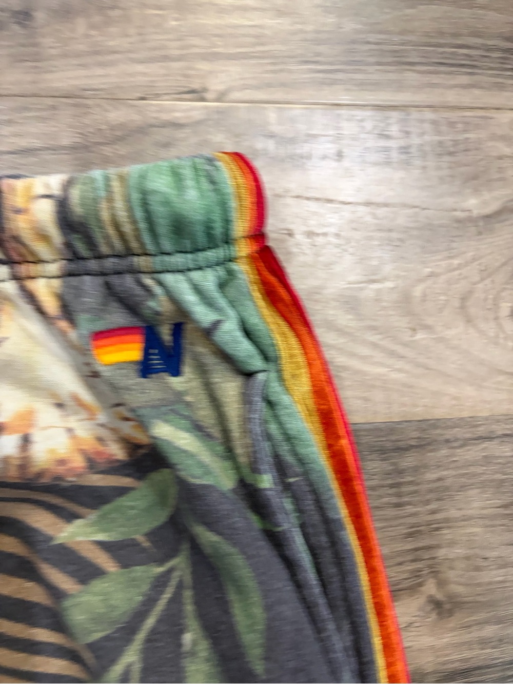 Aviator Nation Velvet Tiger Jungle Rainbow Stripe Jogger Sweatpants Super Rare - Picture 8 of 12